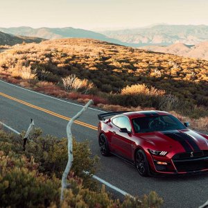 2020-ford-shelby-gt500-43.jpg