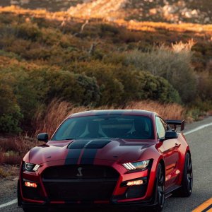 2020-ford-shelby-gt500-49.jpg