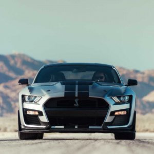 2020-ford-shelby-gt500-62.jpg