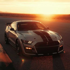 2020-ford-shelby-gt500-64.jpg