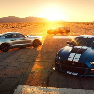 2020-ford-shelby-gt500-72.jpg