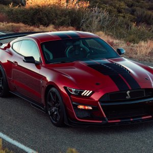 2020-ford-mustang-shelby-gt500-1(16).jpg